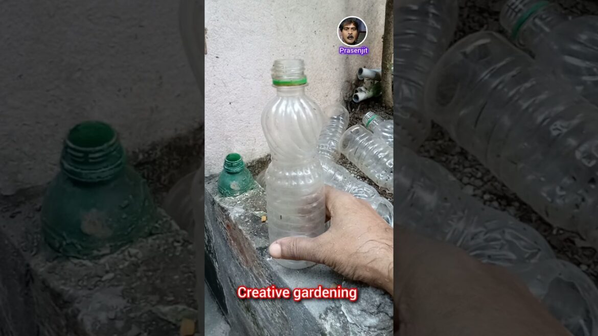Very Creative Gardening Ideas #shorts #viral #gardening #satisfying Very Creative Gardening Ideas #shorts #viral #gardening #satisfying