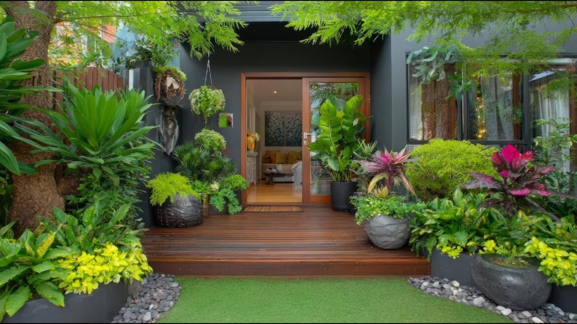 Modern Yet Elegant Entryway Ideas | Small Front Yard Garden with Simple Gates Modern Yet Elegant Entryway Ideas | Small Front Yard Garden with Simple Gates
