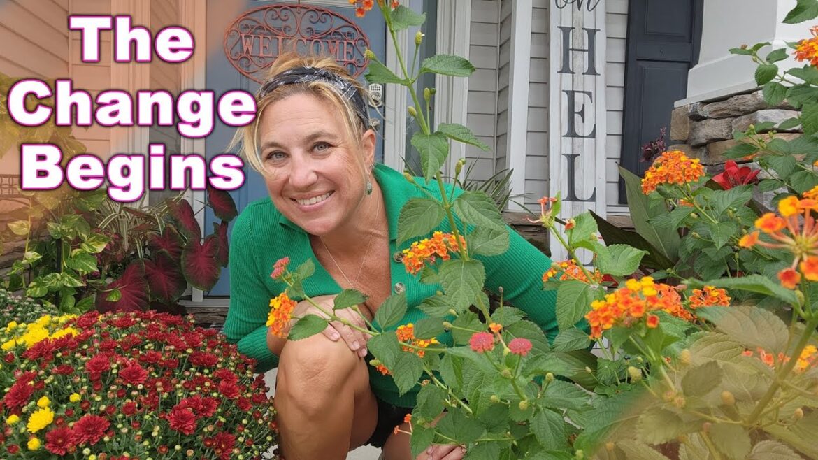 Summer Was Tough… But Look at My Garden Now Summer Was Tough… But Look at My Garden Now