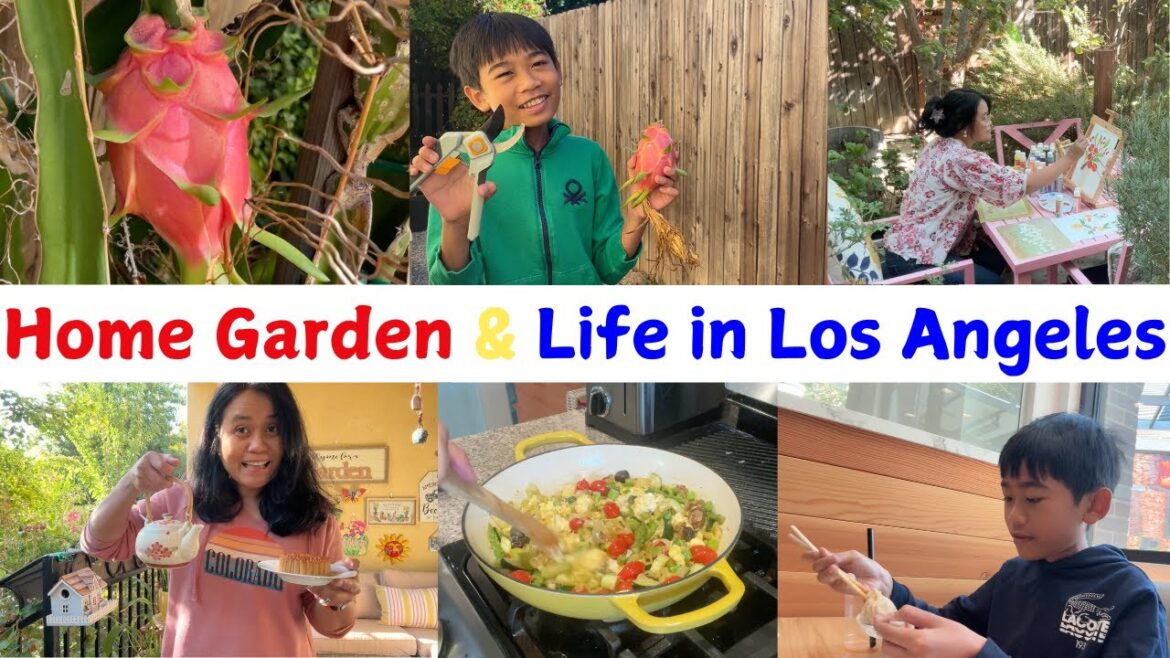 Living in Los Angeles | Dragon Fruit Harvest, Mid Autumn Mooncake Festival & Life Vlog #losangeles Living in Los Angeles | Dragon Fruit Harvest, Mid Autumn Mooncake Festival & Life Vlog #losangeles