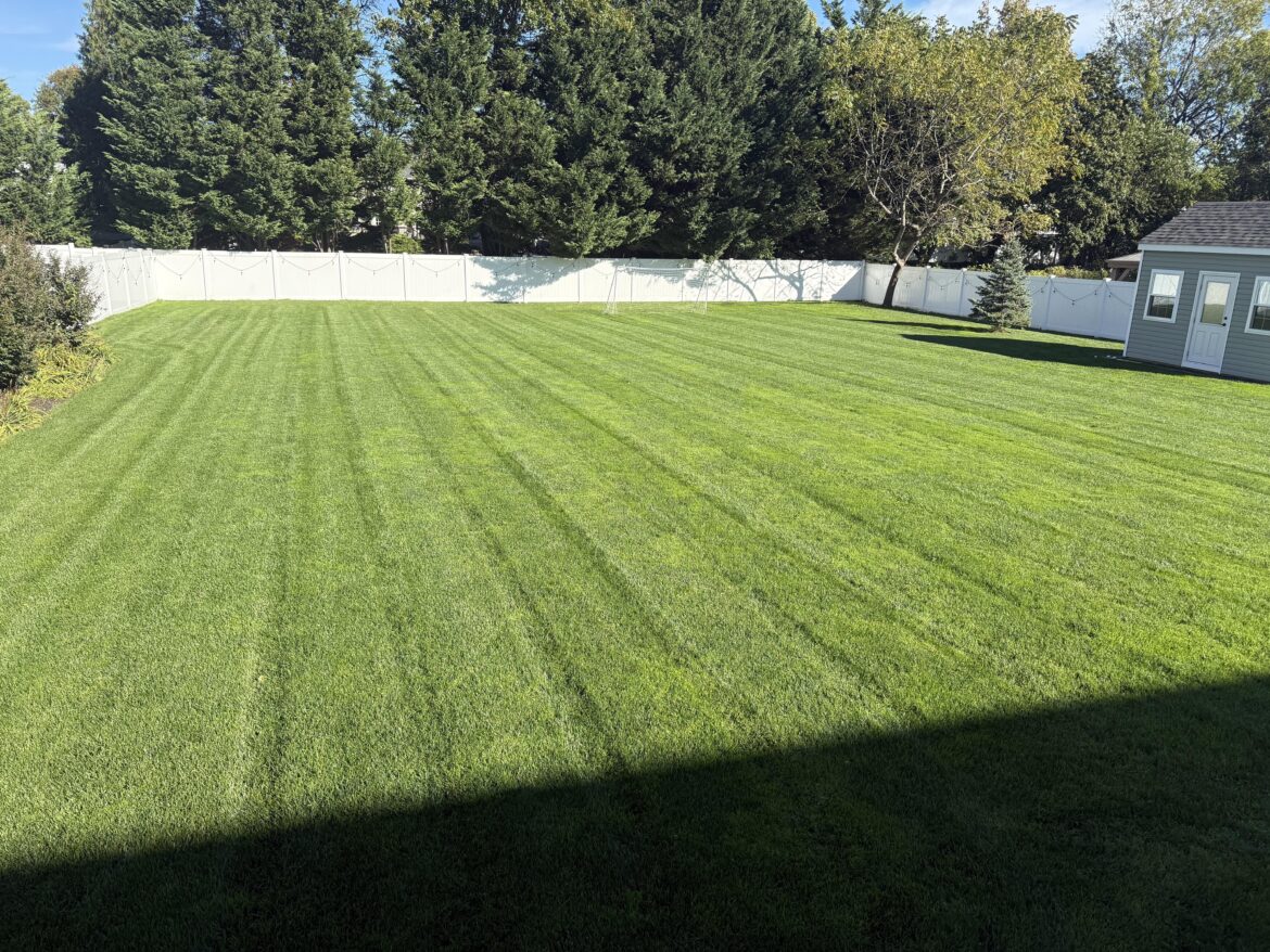 Pretty decent recovery after a rough end to summer