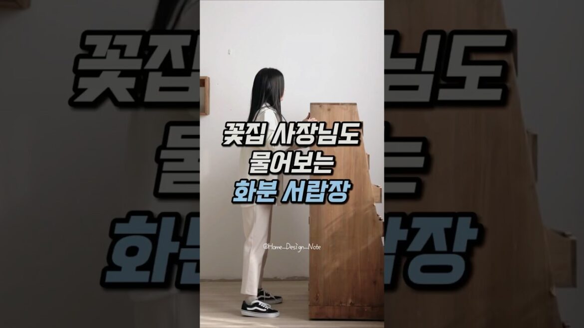 24칸 칸칸마다 다른 화분으로 우리집 정원을 꾸며보자! #홈가드닝 #플랜테리어 #원목인테리어 #집꾸미기 #화분인테리어 #리빙소품 #그린인테리어 #플랜트선반 24칸 칸칸마다 다른 화분으로 우리집 정원을 꾸며보자! #홈가드닝 #플랜테리어 #원목인테리어 #집꾸미기 #화분인테리어 #리빙소품 #그린인테리어 #플랜트선반