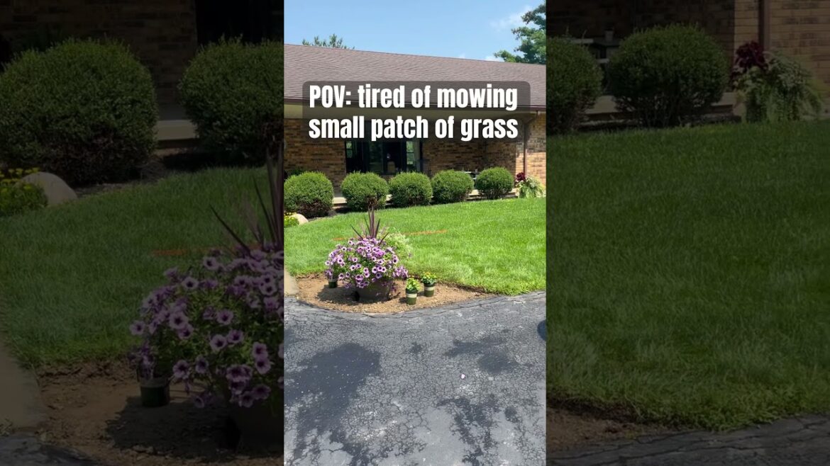 Front yard transformation #diygarden