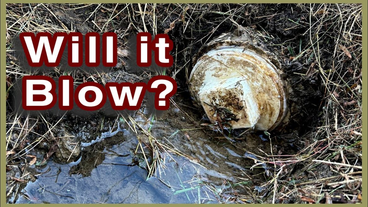 Kaye Kittrell: CISTERN Fall Clean-out | Part 1, Releasing the water CISTERN Fall Clean-out | Part 1, Releasing the water