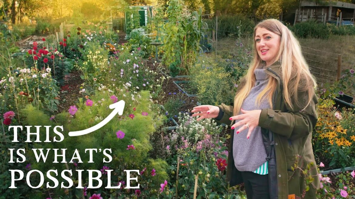 Huw Richards: She Created a Breathtaking Garden in Just 5 Months! (Veg, Flowers & Fruit!) She Created a Breathtaking Garden in Just 5 Months! (Veg, Flowers & Fruit!)