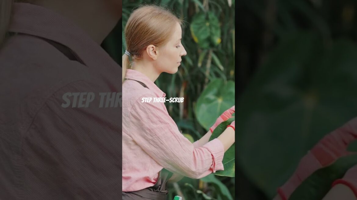 Is Your Container Garden a Hot Mess? (A Funny Fall Cleanup Guide!) #containergardeningtips