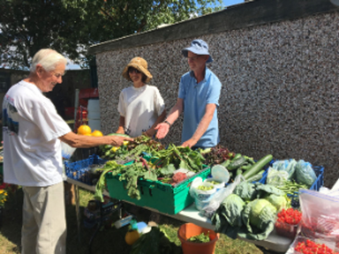 Shrewsbury allotment group wins national award from budget supermarket Aldi Column Allotment Society in Shrewsbury has won a nationwide competition with Aldi.