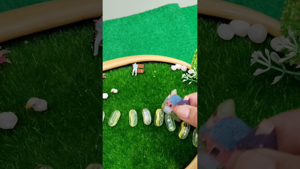 Fairy Garden Kya Hai? | Fairy Garden Ke Ideas | Full Guide in Hindi ।small garden ideas।trending#diy Fairy Garden Kya Hai? | Fairy Garden Ke Ideas | Full Guide in Hindi ।small garden ideas।trending#diy