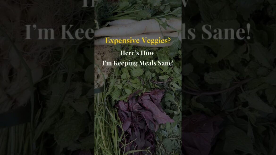 Top 5 VEGGIE Hacks To Save Big on Groceries Top 5 VEGGIE Hacks To Save Big on Groceries