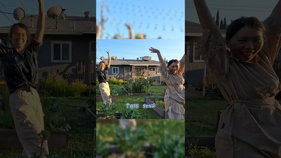 Love gardening badly - NEVER EVER ...GIVE UP   💚GARDEN update