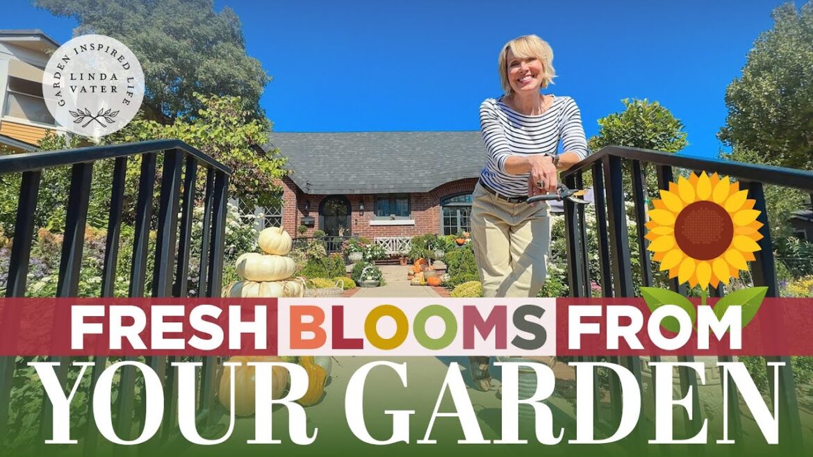 How Can We Bring the Garden Indoors in October? 🌿✂️ How Can We Bring the Garden Indoors in October? 🌿✂️