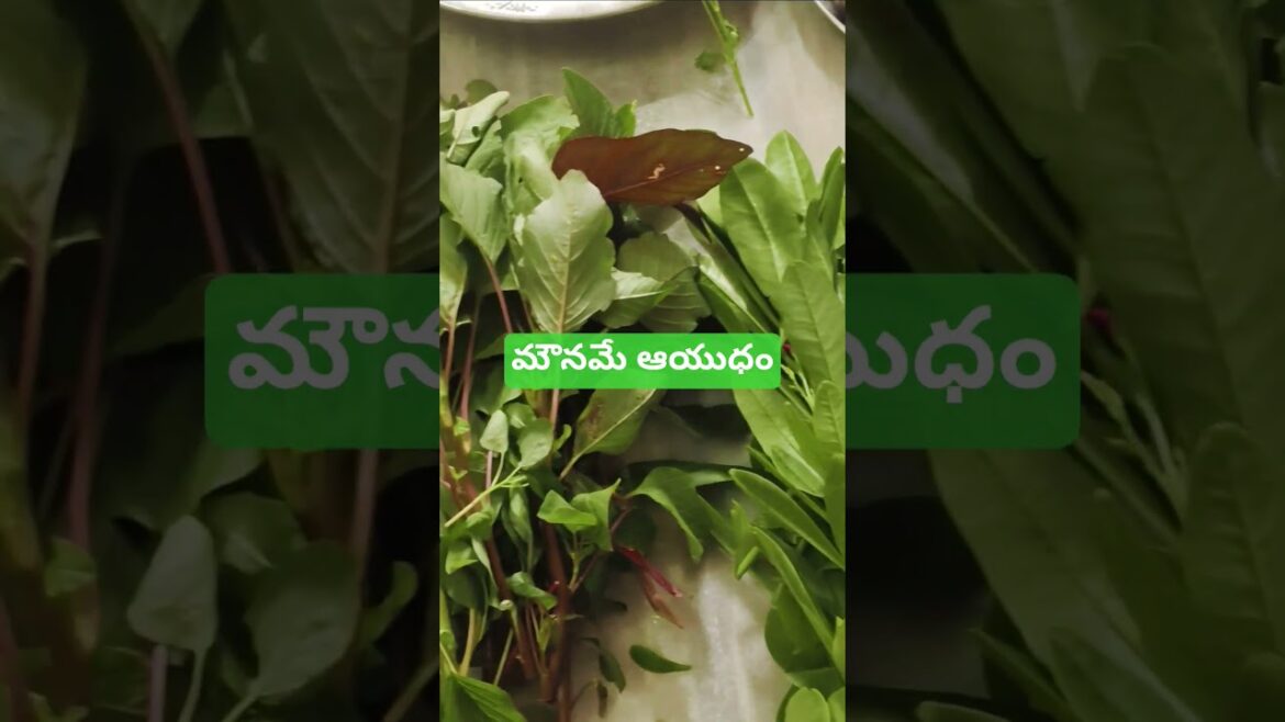 Leaf vegetables #harvest #organic #growing #healthy #gardening #subscribemychannel