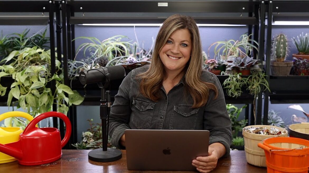 Did You Ever Find Your Felcos? // Do You Get Warranties With Your Trees? // Recap 🌿