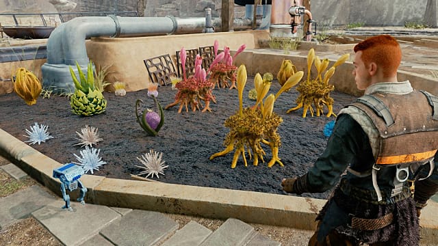 Survivor — How to Unlock Garden Plots – GameSkinny Survivor — How to Unlock Garden Plots – GameSkinny