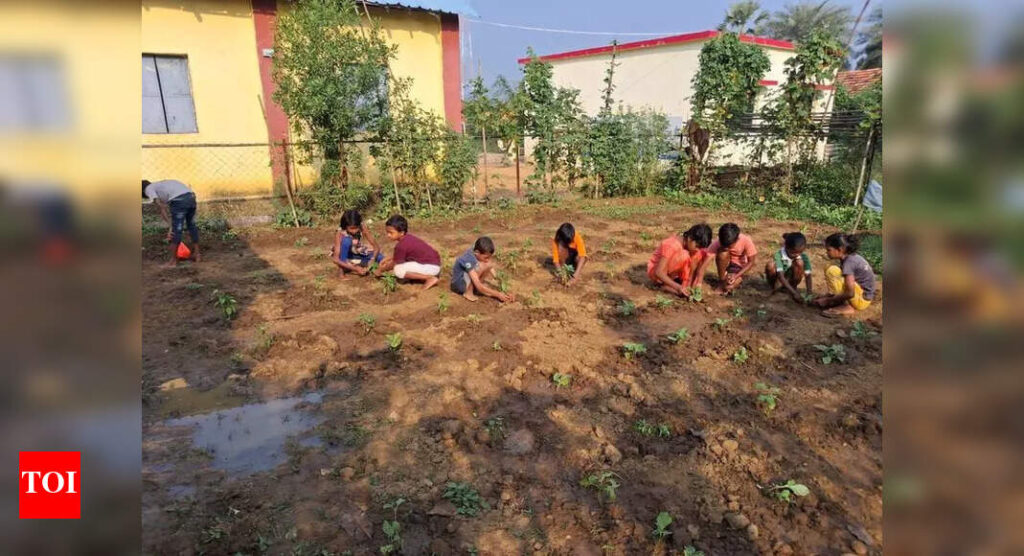 Students in remote Gadchiroli care for school kitchen garden voluntarily even on Sunday | Nagpur News