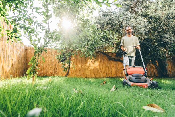 Man using a lawn mower in his back yard.
