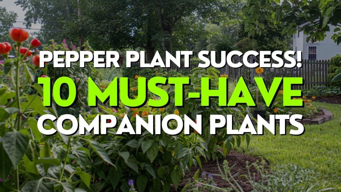 Top 10 Companion Plants for Thriving Pepper Plants Top 10 Companion Plants for Thriving Pepper Plants