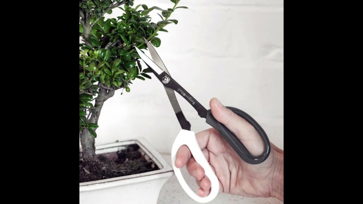 Japanese Garden Tools