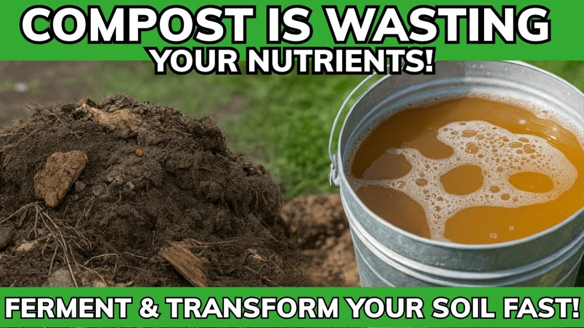 Fermenting or Composting? We Found The One That Delivers Real Nutrients to Your Soil Fermenting or Composting? We Found The One That Delivers Real Nutrients to Your Soil