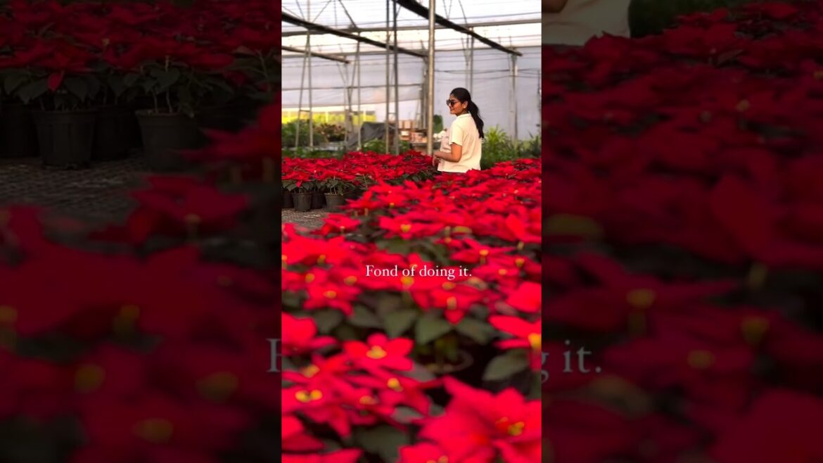 🔍 HIDDEN GEMS: Visiting LOCAL NURSERIES in My City (2025 Trend Alert!) 🌱✨ 🔍 HIDDEN GEMS: Visiting LOCAL NURSERIES in My City (2025 Trend Alert!) 🌱✨