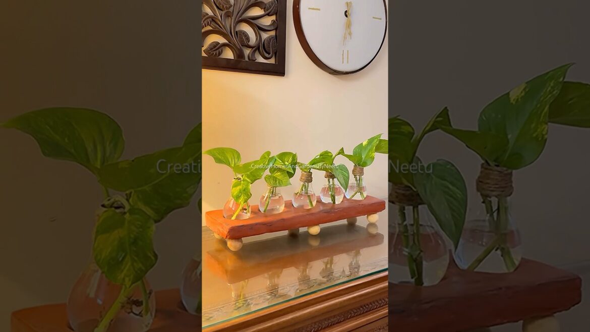 Simple living room decoration #shorts #diyideas #terracegarden #balconygarden #diycrafts Simple living room decoration #shorts #diyideas #terracegarden #balconygarden #diycrafts