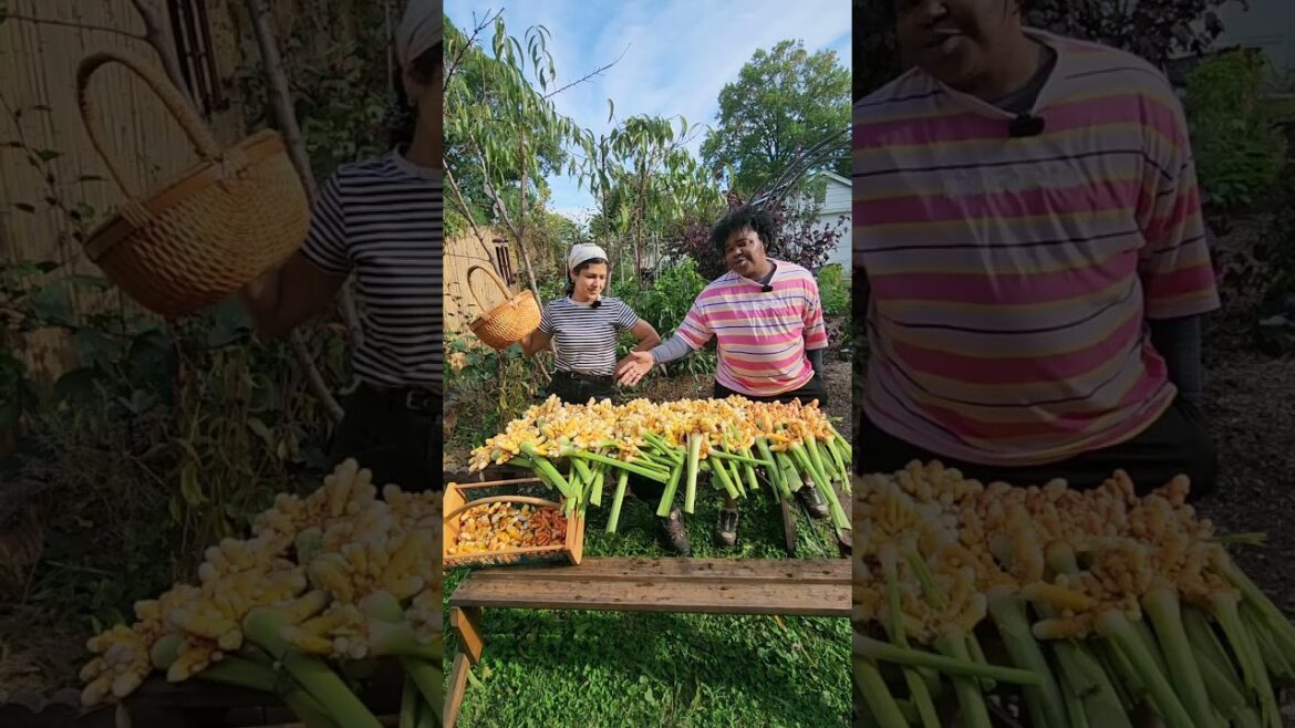 Massive turmeric harvest from our container garden Massive turmeric harvest from our container garden