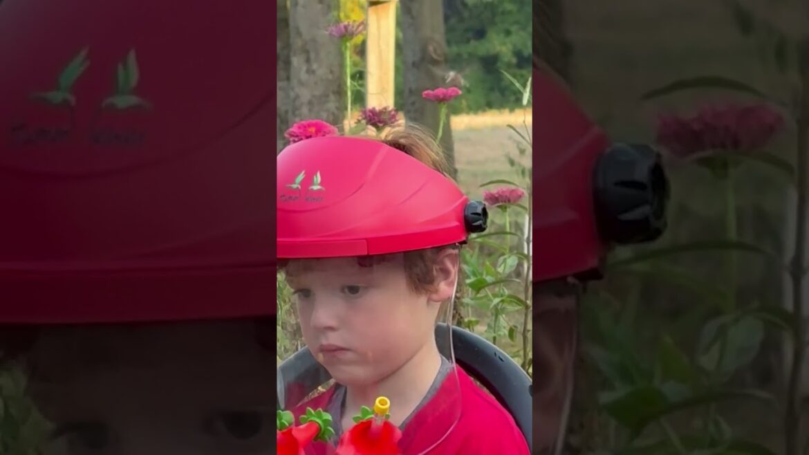 This is so precious ๐ฅน He wanted the hummingbirds to visit him so bad ๐ This is so precious ๐ฅน He wanted the hummingbirds to visit him so bad ๐