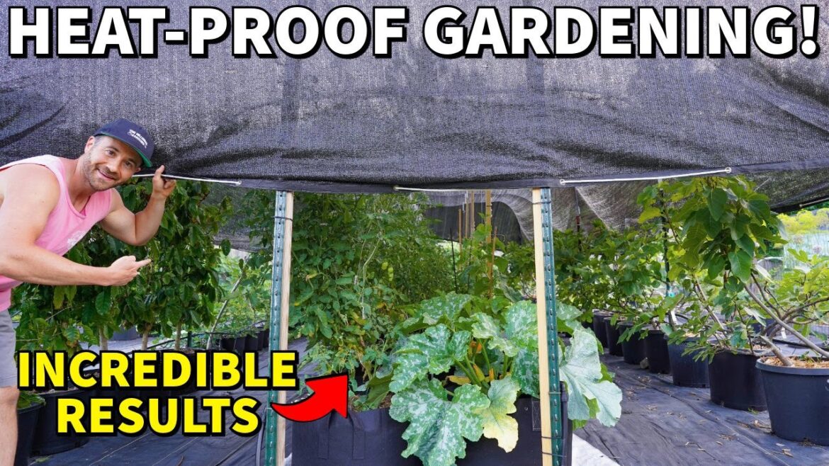Protect Your Garden From HEAT With SHADE CLOTH For Incredible Results! Protect Your Garden From HEAT With SHADE CLOTH For Incredible Results!