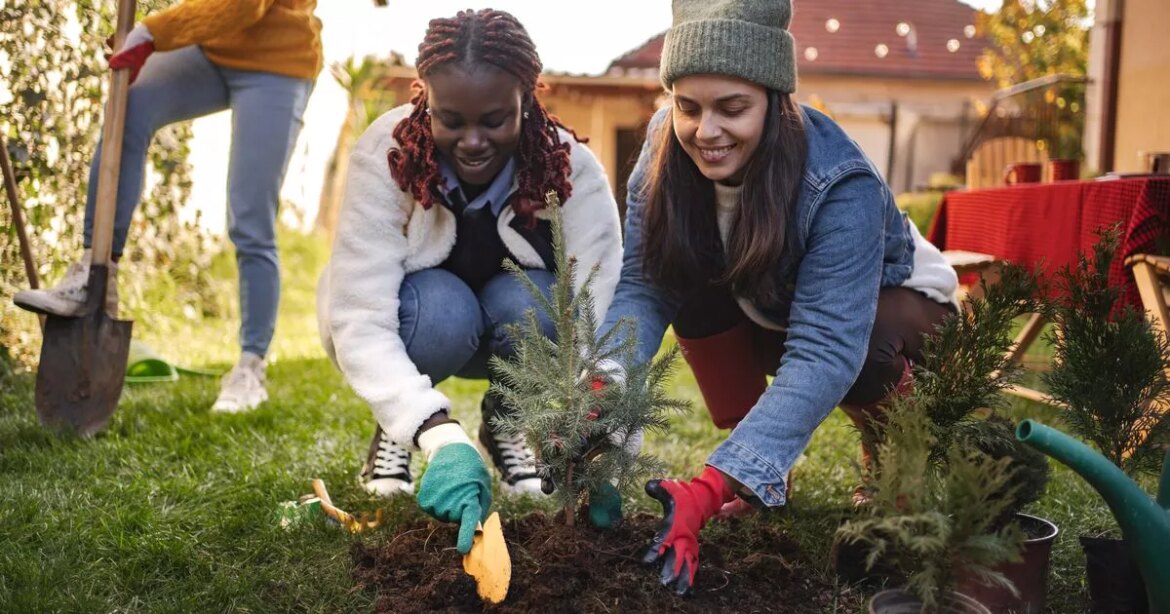 Six October gardening jobs to start now if you want to ‘reap rewards in spring’ Daily Record