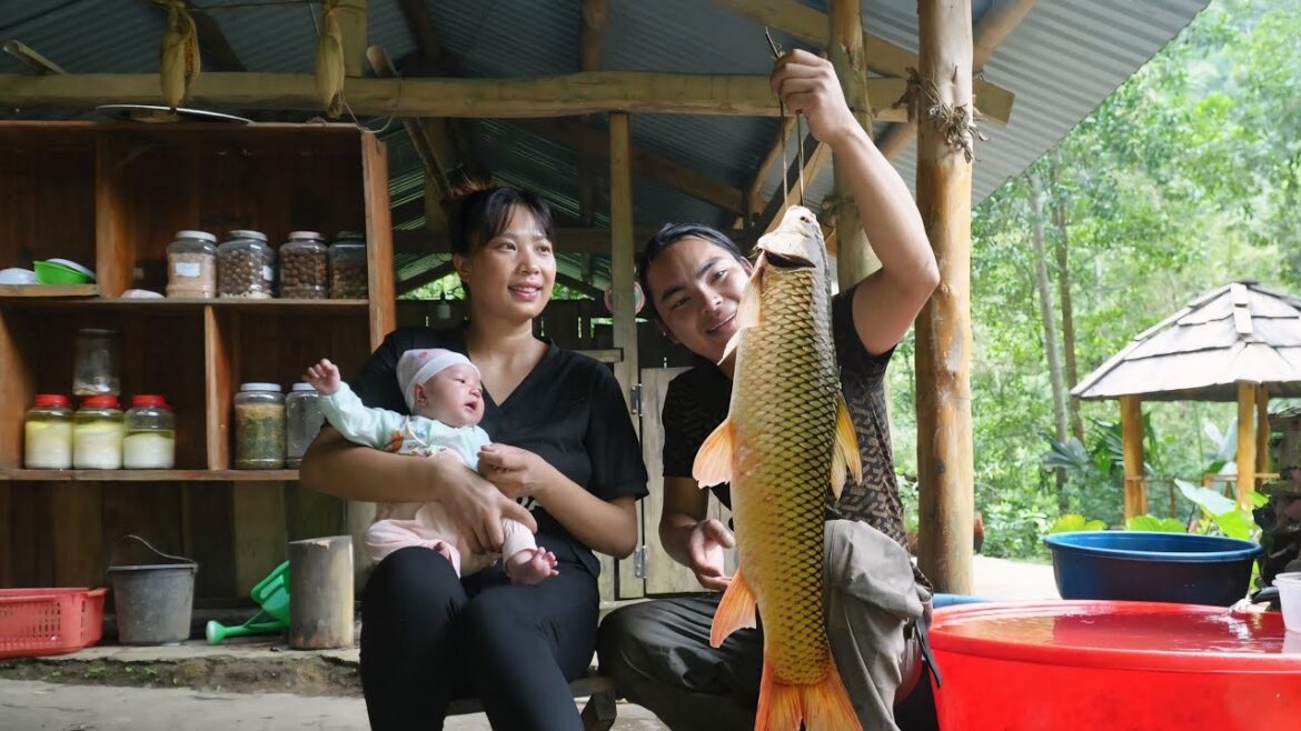 vegetable gardening, nutritious fish dishes for postpartum wife, farm life, SURVIVAL SURVIVAL