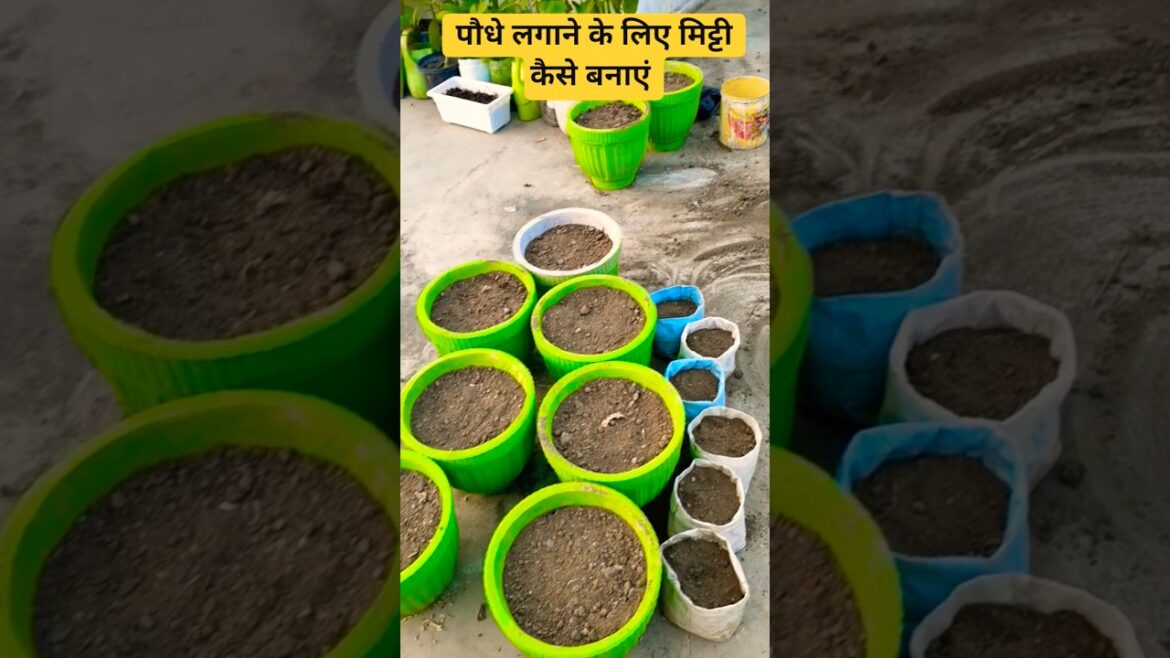पौधों के लिए मिट्टी बनाने का आसान तरीका ♥️♥️#garden #viralvideo #shorts ♥️ पौधों के लिए मिट्टी बनाने का आसान तरीका ♥️♥️#garden #viralvideo #shorts ♥️