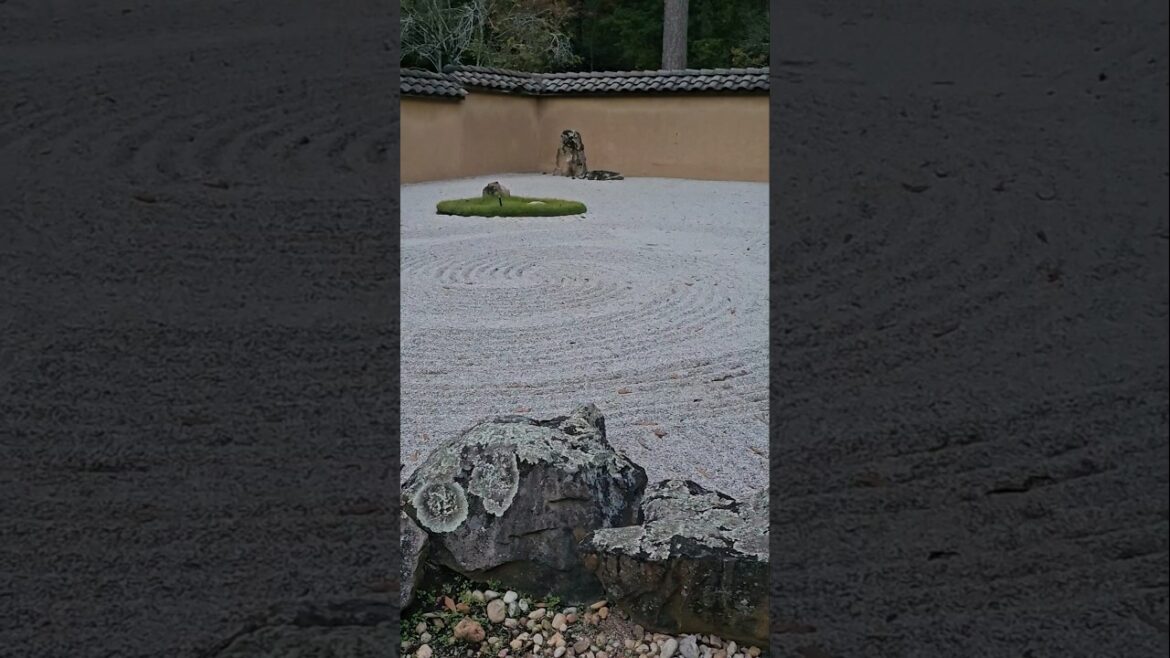 Serene Japanese Garden in Birmingham #alabama #shorts Serene Japanese Garden in Birmingham #alabama #shorts