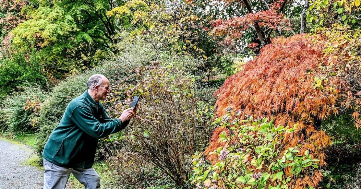 One of UK’s most important private gardens hidden in West Midlands Birmingham Live