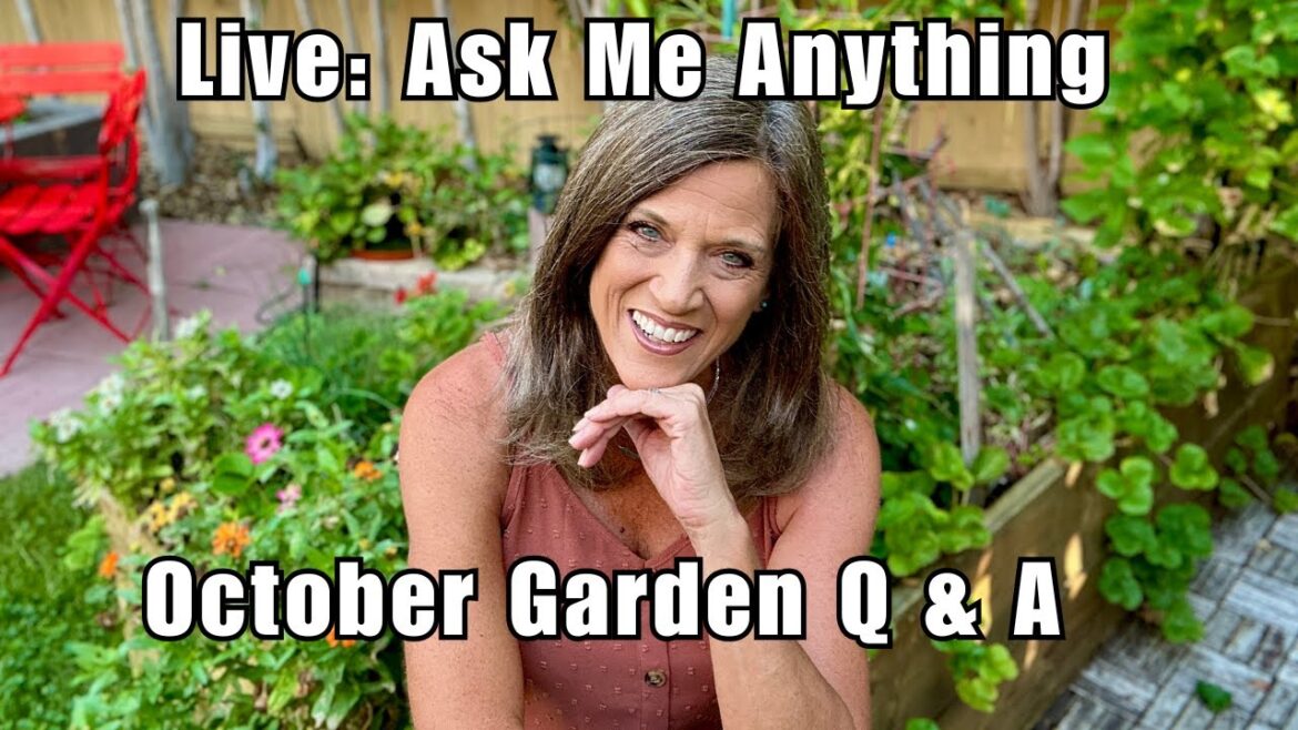 CaliKim: LIVE: October Garden Q & A with CaliKim LIVE: October Garden Q & A with CaliKim
