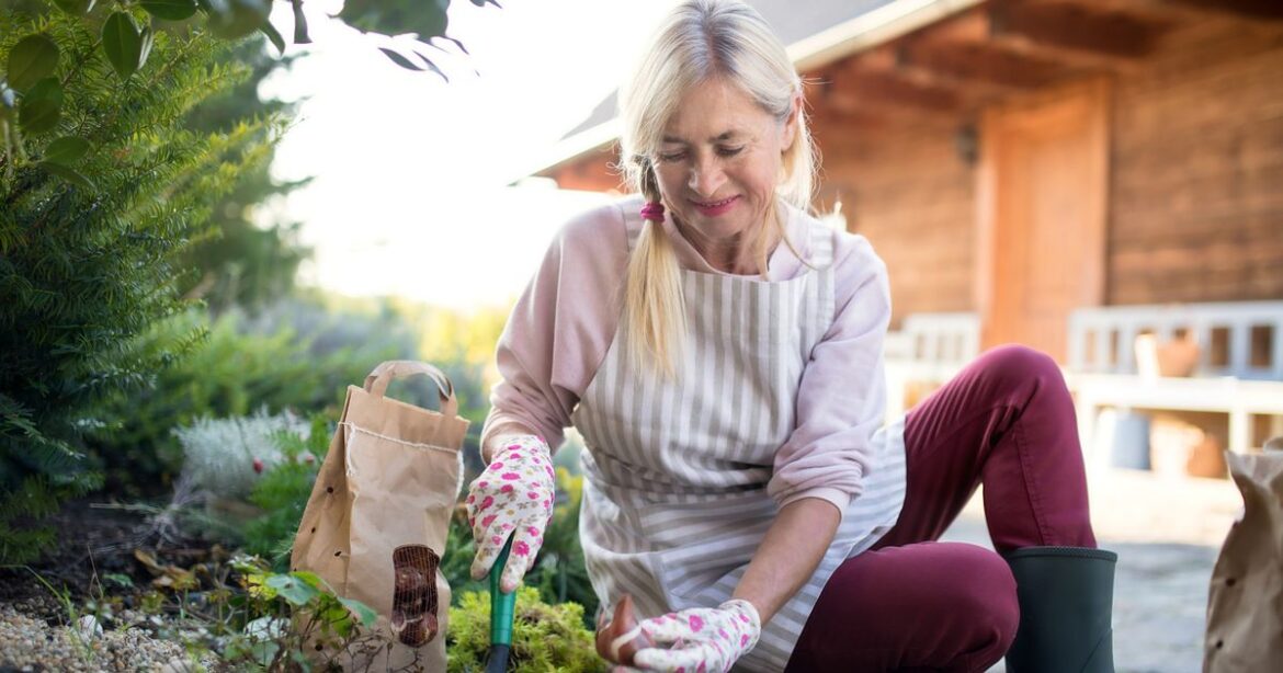 10 essential gardening jobs that must be done by the end of October Daily Mirror