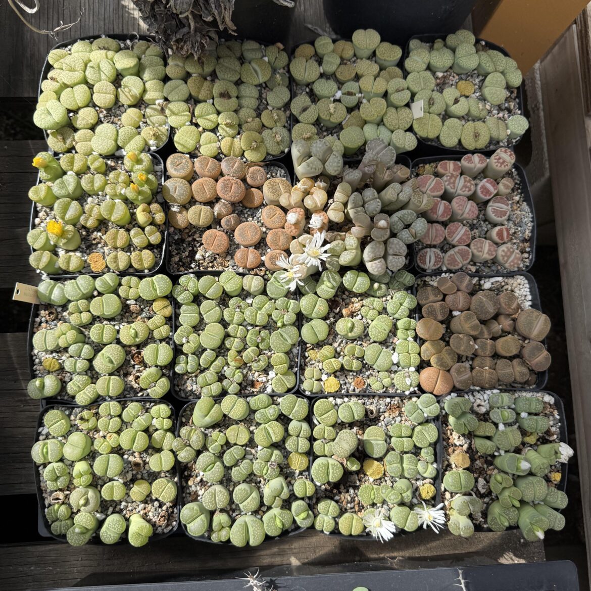 When is too many too many?