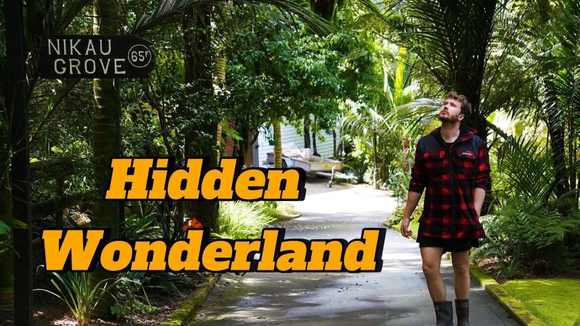 Inside Taranaki’s Best-Kept Garden Secret: Nikau Grove (Centuria Garden Festival) Inside Taranaki’s Best-Kept Garden Secret: Nikau Grove (Centuria Garden Festival)