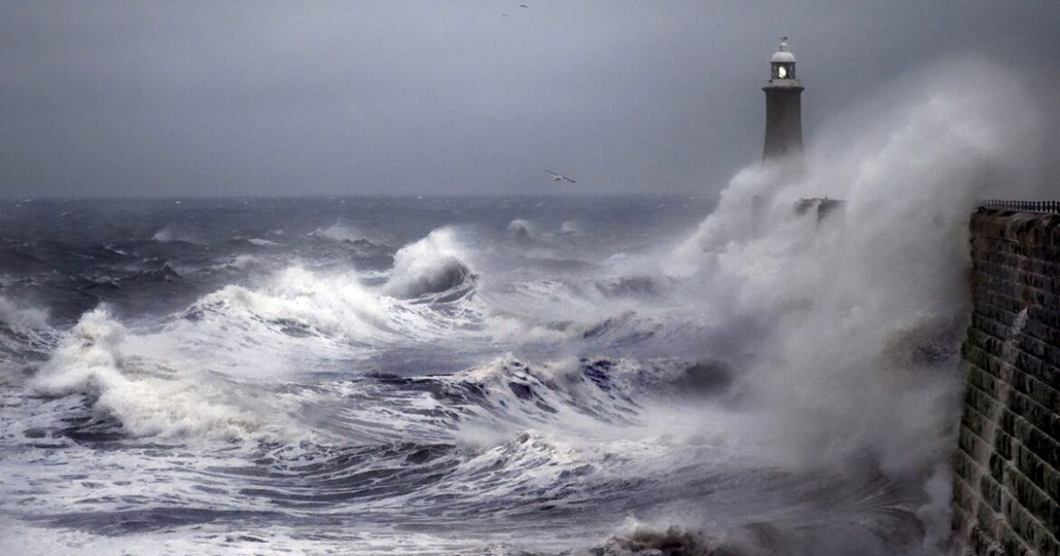 Expert urges gardeners urged to do three things before Storm Benjamin strikes Devon Live