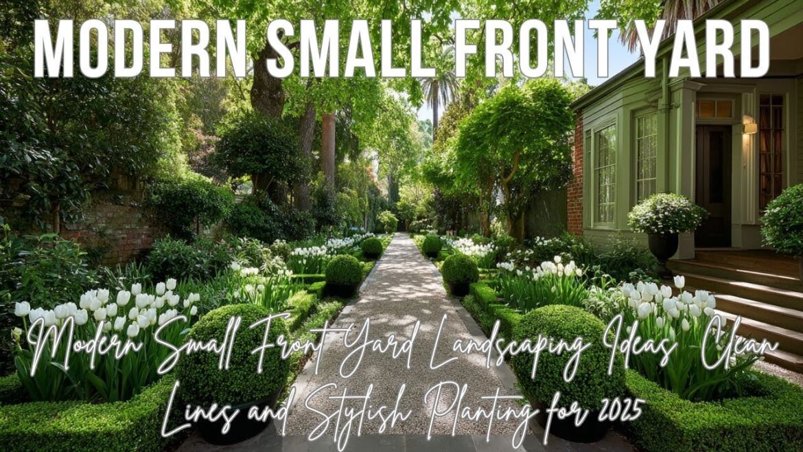 Modern Small Front Yard Landscaping Ideas | Clean Lines and Stylish Planting for 2025 Modern Small Front Yard Landscaping Ideas | Clean Lines and Stylish Planting for 2025