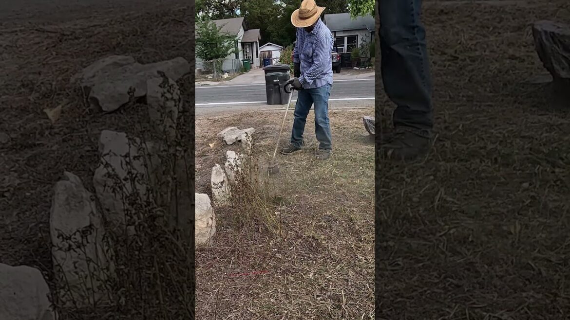 S241 – Overgrown Yard Cleanup at a Vacant House | Satisfying Lawn Mowing & Transformation S241 - Overgrown Yard Cleanup at a Vacant House | Satisfying Lawn Mowing & Transformation