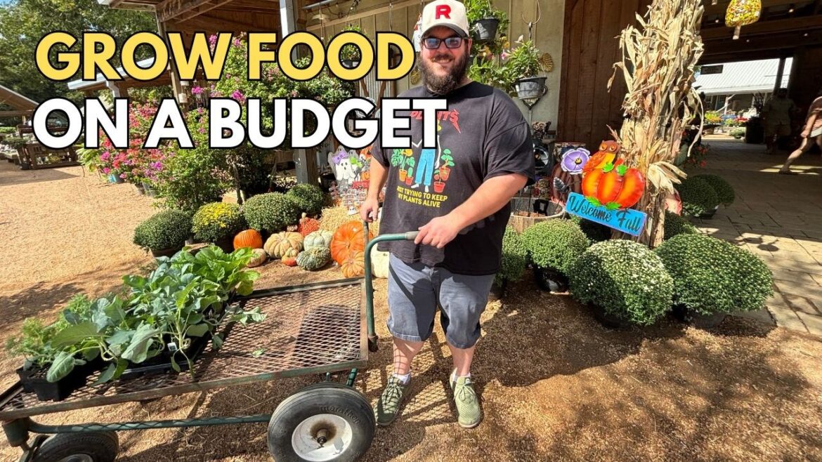 You Can Start A Productive Fall Vegetable Garden On A Budget You Can Start A Productive Fall Vegetable Garden On A Budget