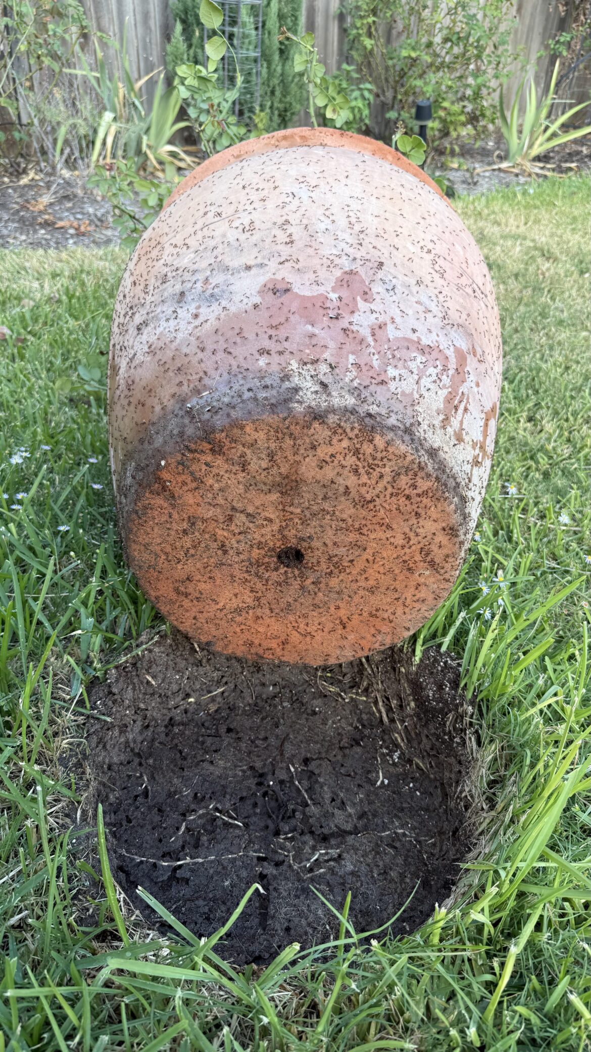 Will they go home now?