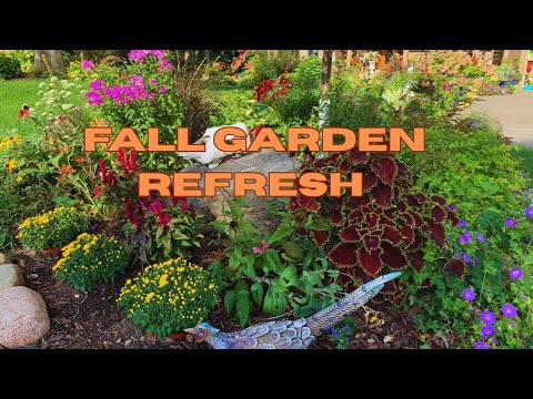 Fall Garden Refresh π Dividing and Removing Daylilies βοΈπ Garden Makeover πͺπΏ Fall Garden Refresh π Dividing and Removing Daylilies βοΈπ Garden Makeover πͺπΏ