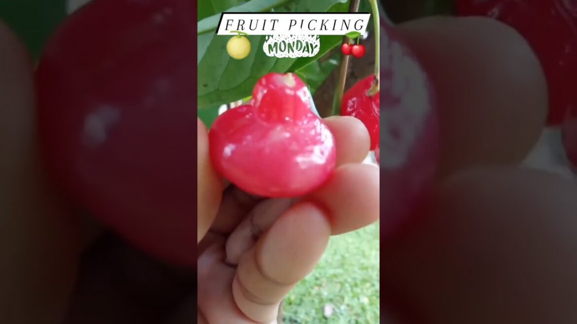 Backyard Edible💋#shorts