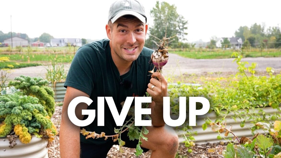 It’s Time to Give Up On These Crops