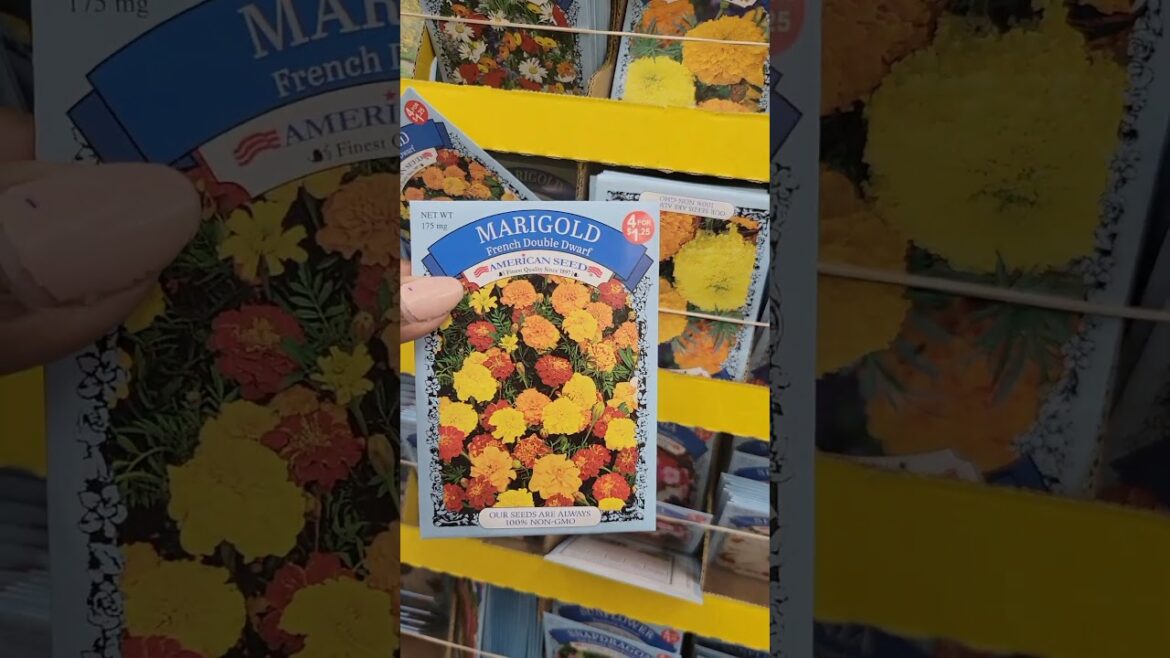 Dollartree Run for Garden supplies #garden #dollartree #grownvegetables #dollartreehaul #gardening