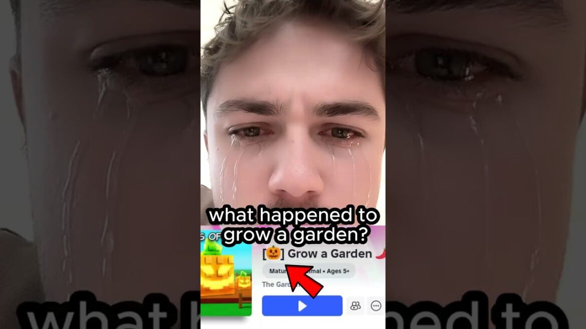 Grow a garden has a BIG problem?