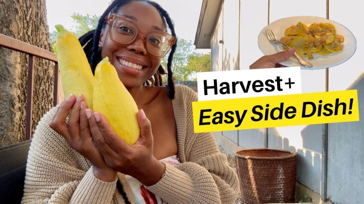 Quick Southern Squash Side (Straight from My Container Garden!) Quick Southern Squash Side (Straight from My Container Garden!)