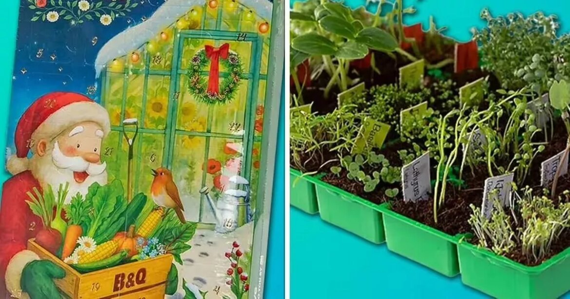 Manchester Evening News