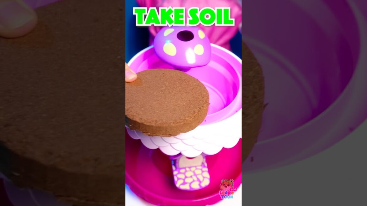 Gardening Lesson for Kids🌸 🚿 Adventure GROW a Magic Garden! 🌱💧 #Learning Gardening Lesson for Kids🌸 🚿 Adventure GROW a Magic Garden! 🌱💧 #Learning